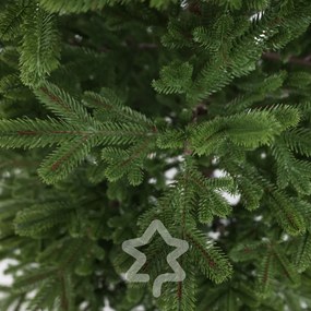 Molid Natura 100% 210 cm