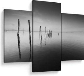 Tablou cu nivelul de lac alb negru (90x60 cm)