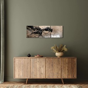 Tablou - Turmă de gnu (cu ceas) (90x30 cm)