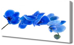 Tablou pe panza canvas Flower Floral Albastru
