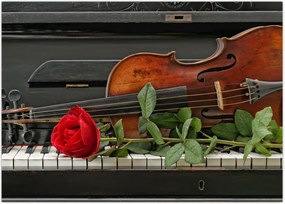 Tablou- Amintire de muzicean (70x50 cm)