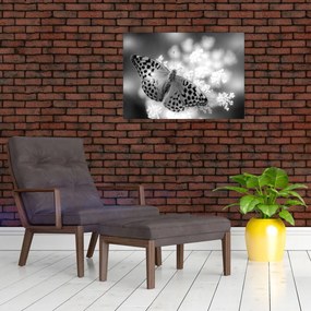 Tablou - Detailu cu fluture care polenizează floare (70x50 cm)