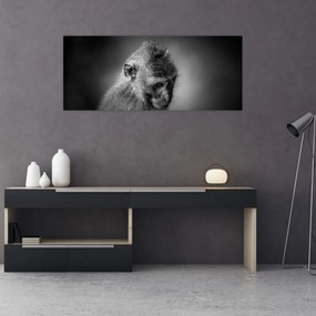 Tablou - Maimuță (120x50 cm)