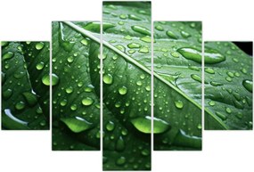 Tablou - Detaliu de frunze după ploaie (150x105 cm)