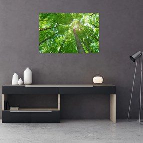 Tablou - Lunca (90x60 cm)