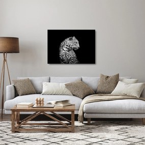 Tablou pe sticlă - Leopardul (70x50 cm)
