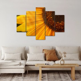 Tablou - Floarea-soarelui (150x105 cm)