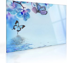 Tablou pe sticlă - Fluture pe flori de orhidee, albastru (70x50 cm)