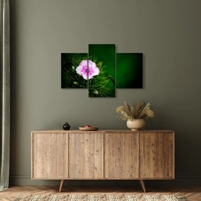 Tablou cu floare roz (90x60 cm)