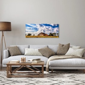 Tablou cu câmp de floarea soarelui (120x50 cm)
