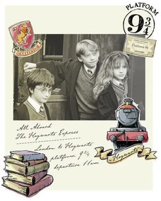 Poster de artă Harry Potter - Hermione, Harry și Ron, (26.7 x 40 cm)