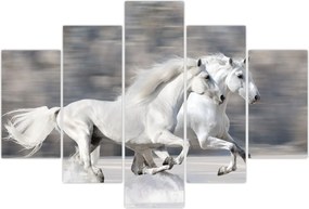 Tablou - Cai albi în timpul iernii (150x105 cm)