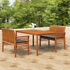 3120458 vidaXL Set mobilier de exterior cu perne, 3 piese, lemn masiv acacia