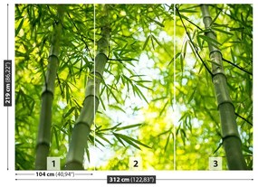 Fototapet Bamboo Branch