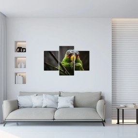 Tablou cu papagal (90x60 cm)