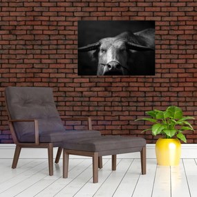 Tablou - Vacă (70x50 cm)