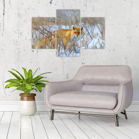 Tablou - Vulpe (90x60 cm)