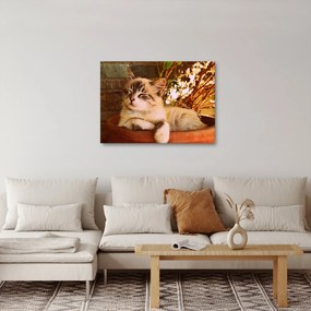 Tablou cu pisica în ghiveci (70x50 cm)