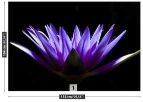 Fototapet Purple Lotus