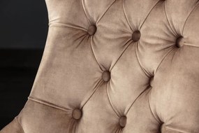 Set 2 scaune stil baroc Castle catifea maro cafeniu