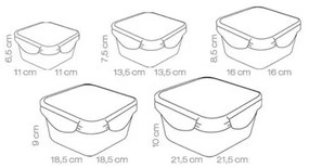 Set de 5 recipiente Tescoma FRESHBOX,  pătrate