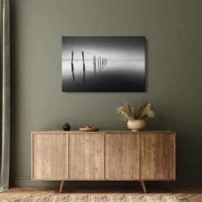 Tablou cu nivelul de lac alb negru (90x60 cm)