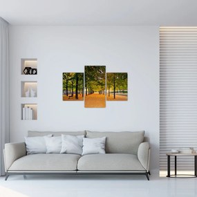 Tablou cu alee cu copaci în toamnă (90x60 cm)