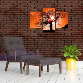 Tablou - Fag la apus de soare (90x60 cm)