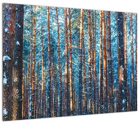 Tablou pe sticlă - Pădurea iarna (70x50 cm)