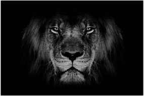 Tablou - Leu majestic (90x60 cm)