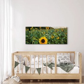 Tablou - Câmpul de floarea-soarelui II. (120x50 cm)