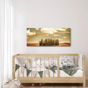 Tablou cu luncă (120x50 cm)