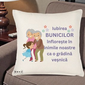 Cadou pentru Bunici - Perna Personalizata Bunicii Iubirea Infloreste Bunici cu Nepoata Colorat, 40x40 cm, Crem Reliefat, Husa Detasabila, Perna Inclusa, BEKZ®