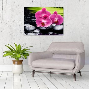 Tablou pe sticlă - Orhidee roz cu frunze de palmier (70x50 cm)