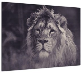 Tablou cu leu (70x50 cm), în 40 de alte dimensiuni noi