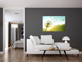 Tablou - Păpădia în vânt (90x60 cm)