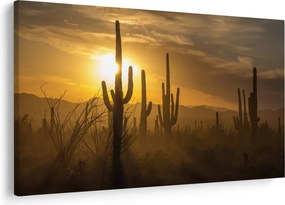 Tablou - Cactuși Saguaro (90x60 cm)