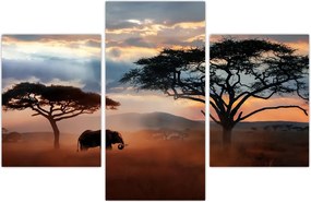 Tablou - Parcul Național Serengeti, Tanzania, Africa (90x60 cm)