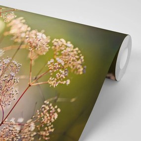 Fototapet natura moartă din flori