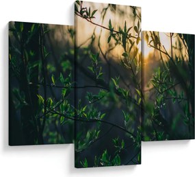 Tablou - Soarele strălucind printre crengile copacilor (90x60 cm)