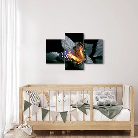 Tablou cu fluture (90x60 cm)