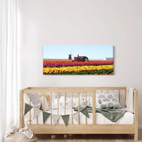 Tablou cu farma de lalele (120x50 cm)