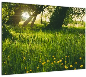 Tablou cu natura - lunca (70x50 cm)