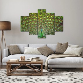 Tablou - Peacock (150x105 cm)