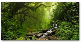 Tablou pe sticlă acrilică Jungle în nepal