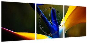 Tablou - Floare exotică (cu ceas) (90x30 cm)