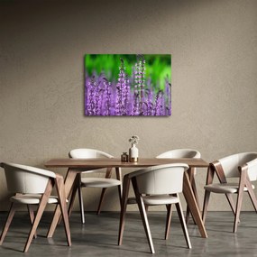 Tablou cu flori de luncă violete (70x50 cm)