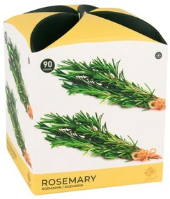 Lumânare parfumată Arome Rosemary în sticlă, 90 g