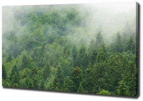Print pe pânză Pădure misterioasă