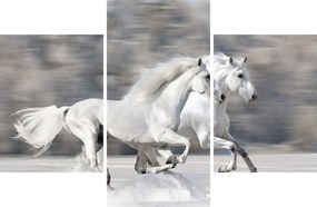 Tablou - Cai albi în timpul iernii (90x60 cm)